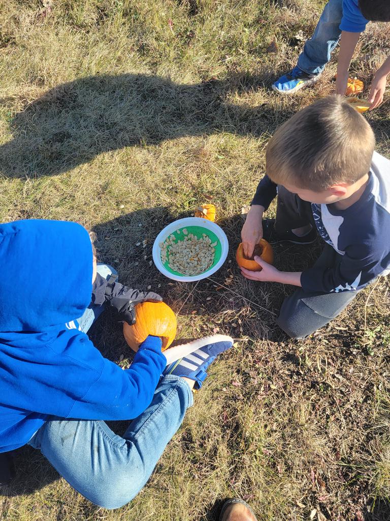 DegroodMegan's tweet photo. We learned, explored and investigated pumpkins during our Wilderness Wednesday. 
#NatureBasedK #playislearning #pumpkinexploration #outsidelearning https://t.co/PcjRpmGc3r