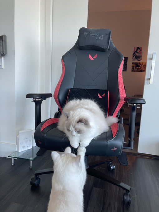 jessicahkim's tweet image. excited to be able to give away this secretlab titan evo 2022 valorant edition chair!! 

rules 💫
• follow me and @secretlabchairs
• rt this tweet
• reply with which agent you main
⭐️ giveaway ends on nov 3rd