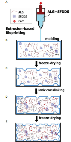 IJB_ASP's tweet photo. Effect of ionic crosslinking on morphology and #thermostability of #biomimetic supercritical fluids-#decellularized dermal-based composite bioscaffolds for #bioprinting applications
read more: https://t.co/99H4BRPZxR https://t.co/mCGNyUoQhm