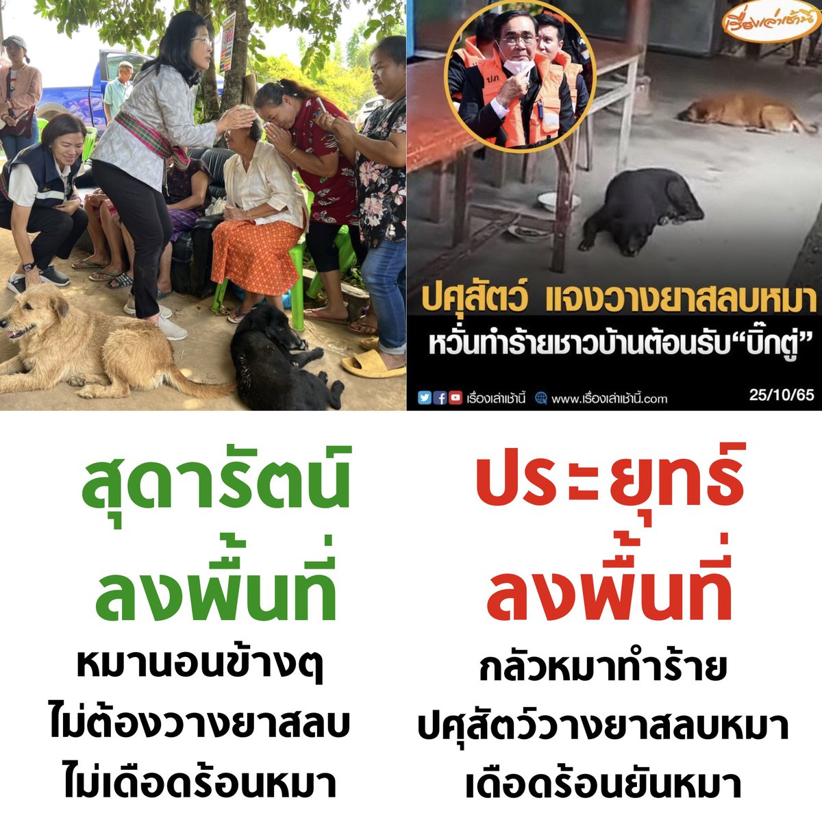 ความแตกต่างนี้