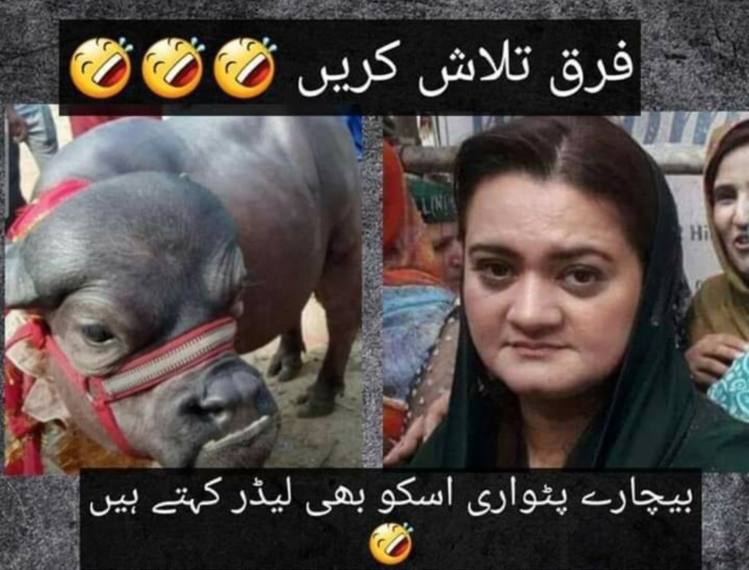 MaahaArain's tweet photo. @RehamKhan1 
It is your duty to defend these crooks with anti Imran Khan narrative.

#CrooksofPakistan #PakistanUnderFascism #PDM #PMLN https://t.co/6Enr2X3T4L