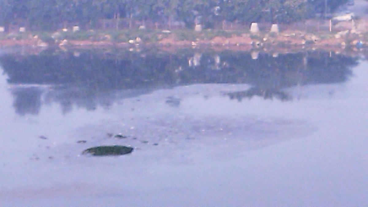 bvrkn's tweet photo. This is fate of Yellammakunta lake at Kukatpally. Badly polluted with sewerage water and around the colonies suffering with mosquitoes and foul smell. Very unfortunate that civic bodies sitting silent.@GHMCOnline @zckukatpally @CommissionrGHMC https://t.co/HtF1vv0kIM