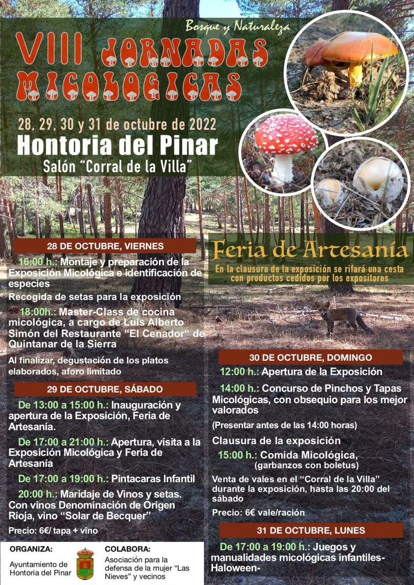 Este finde semana en Hontoria del Pinar comenzarán las jornadas micológicas.