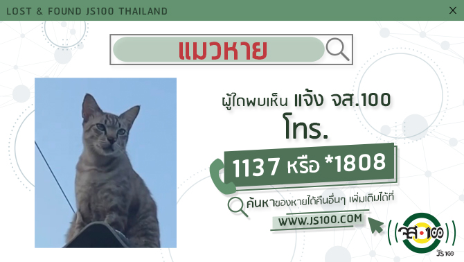 js100radio's tweet photo. แมวหายจากบริเวณใกล้เคียงห้างบลูพอร์ต ซ.หัวหิน 98 จ.ประจวบคีรีขันธ์ ผู้ใดพบเห็นแจ้ง JS100 โทร *1808 หรือ 1137 https://t.co/I4g21cO5Hz https://t.co/XXMX9PZks6