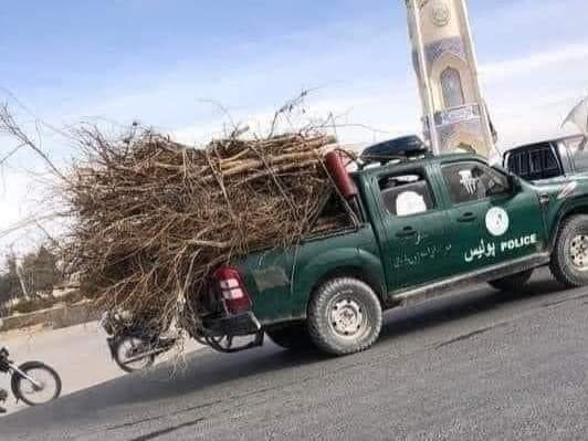 دا بيت المال دى، غنيمت يې مه ګڼٸ
د يو رنجر بيه تر 60 زره ډالرو رسېږي

ټالب اسلامی نظام