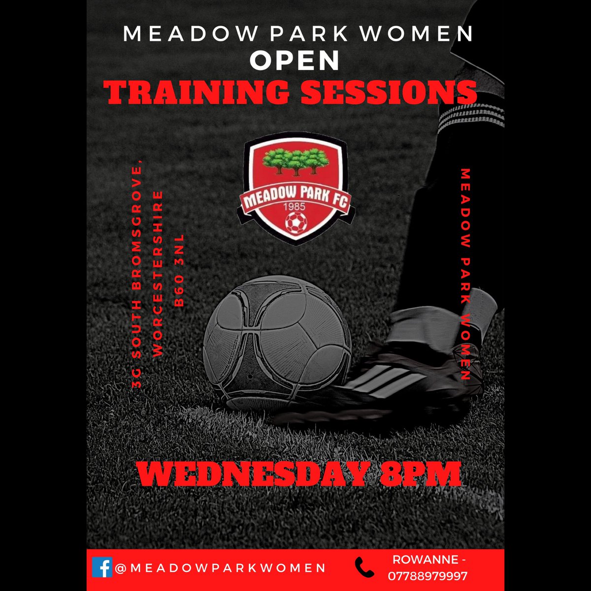 Meadow Park Women FC tweet media