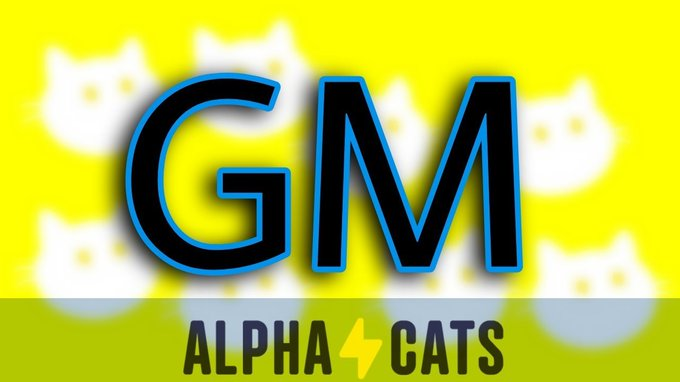 GM!!!

Our founder <a href="/GangOfThoughts/">gangofthoughts</a> will be speaking on spaces 28th 1pm EST hosted by @Fishverse

#NFTs #NFTCommunity #AlphaCats #ACTakeOver