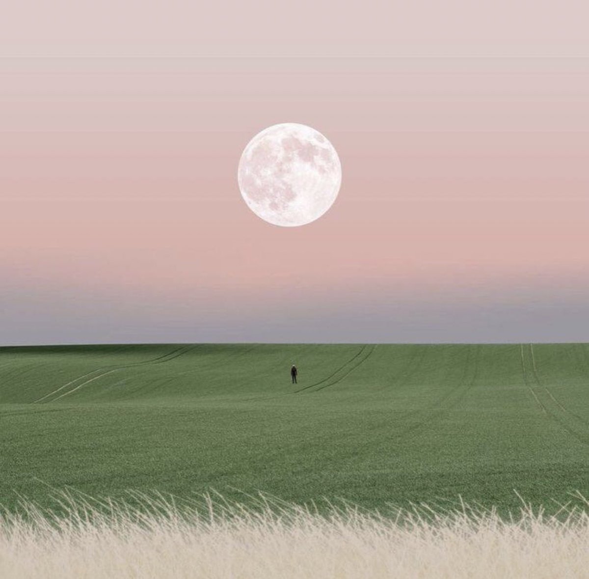 سَأَضرِبُ في طولِ البِلادِ وَعَرضِها
أَنالُ مُرادي أَو أَموتُ غَريبا
فَإِن تَلِفَت نَفسي فَلِلَّهِ دَرُّها
وَإِن سَلِمَت كانَ الرُجوعُ قَريبا
ㅡ الشافعي