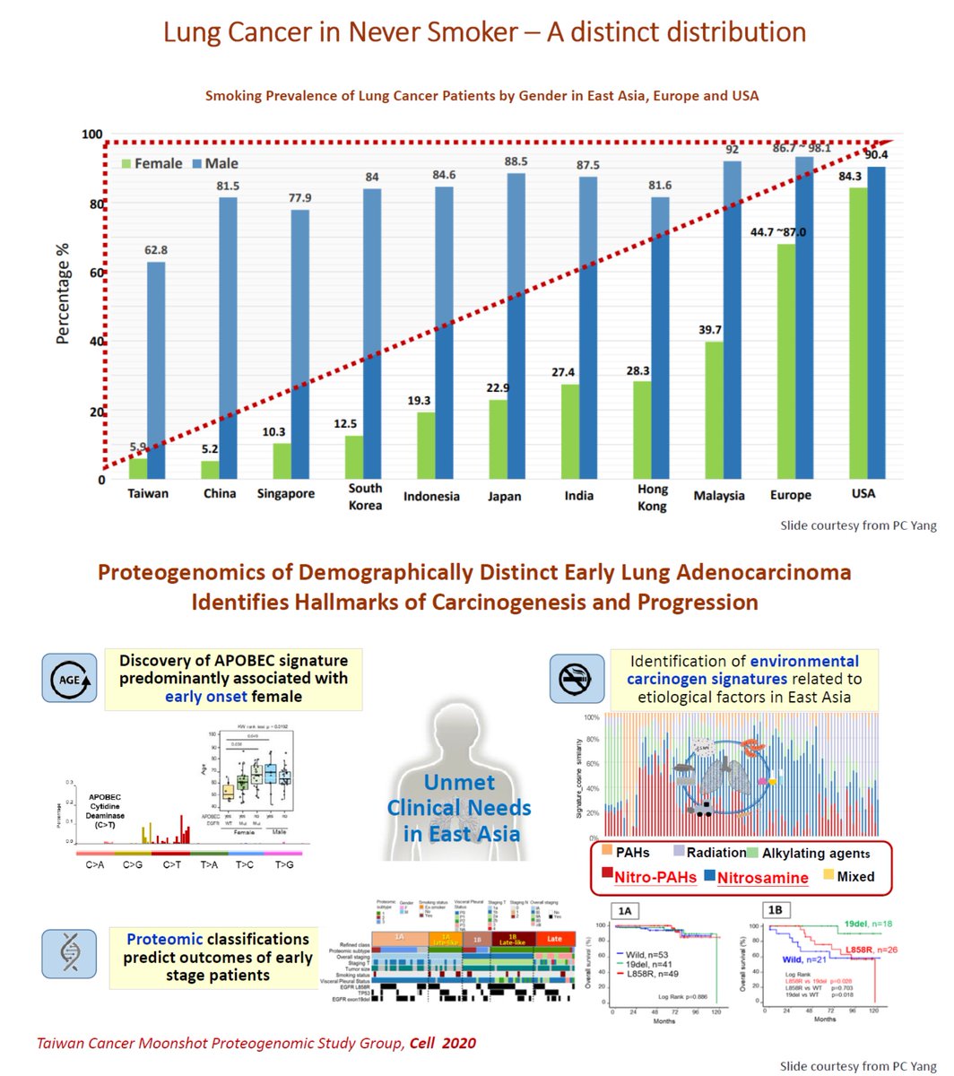 IASLC's tweet photo. Globally #lungcancer in never smokers is on the rise, especially in E. Asia. At #ACLC22 Dr. Gee-Chen Chang describes the distinct distribution of patients by gender in E. Asia, Europe &amp; US &amp; the proteogenomics of demographically distinct early lung adenocarcinomas &amp; progression. https://t.co/sDxSK9ggHC