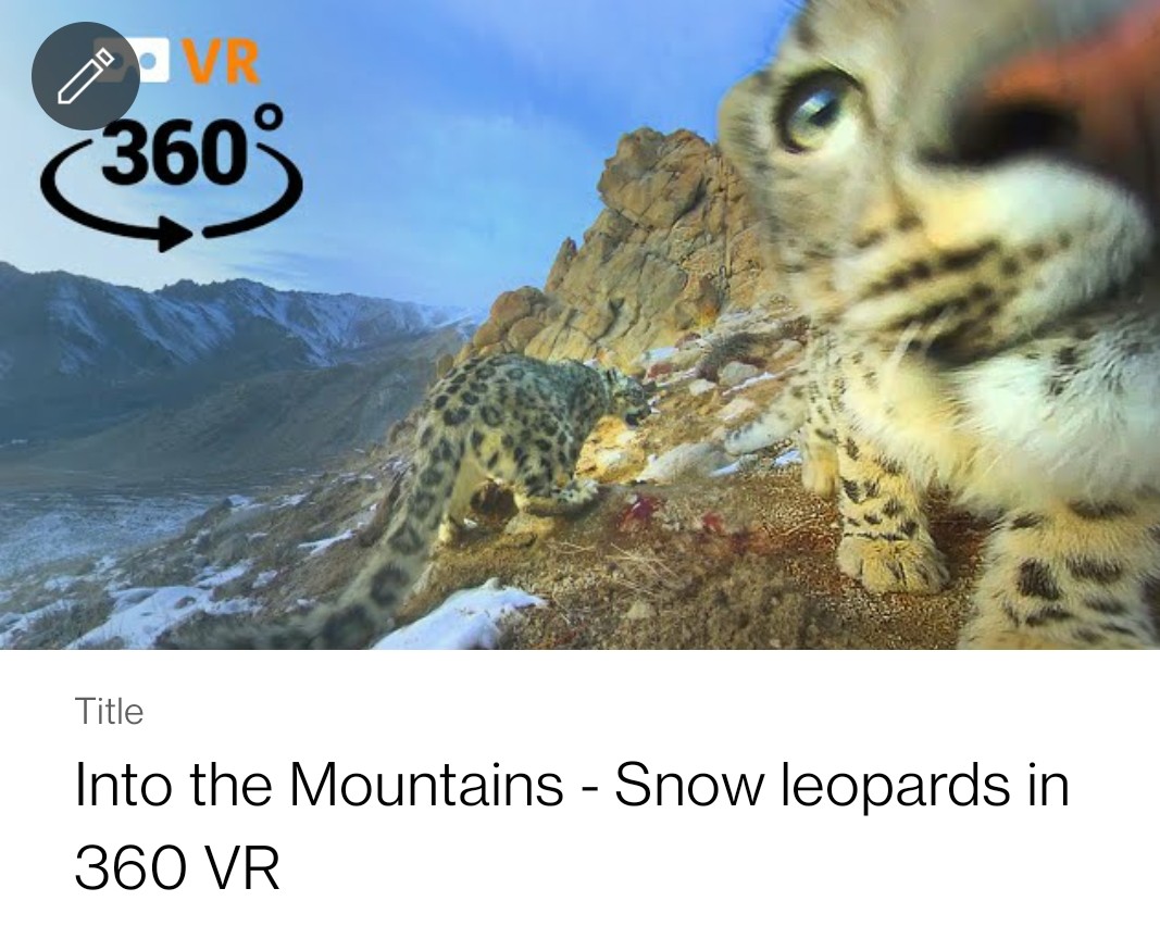 Gautam Pandey tweet media