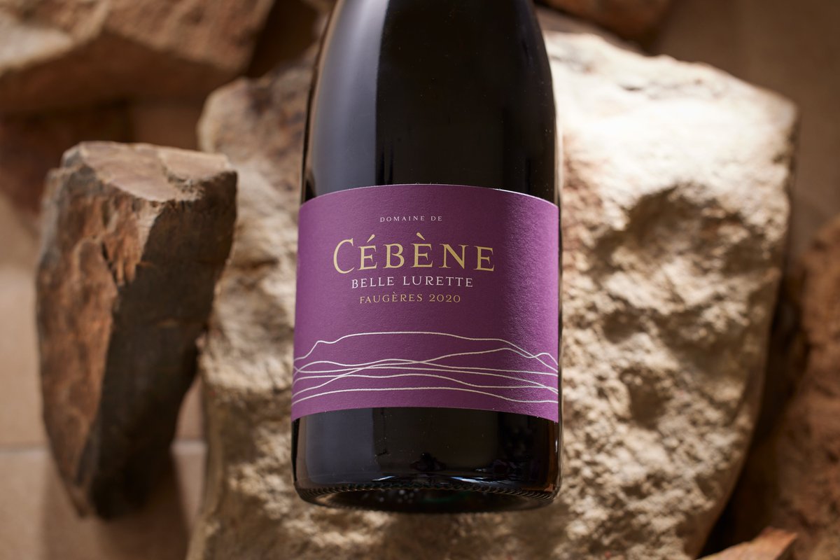 DOMAINE_CEBENE's tweet photo. Carignan: resilient, sometimes rustic, it can also be very elegant. Our north-facing Carignan vines have impressive concentration thanks to their age and the schist on which they're planted. Have you tried Belle Lurette, a blend with 80% old vine Carignan? #carignanday #Carignan https://t.co/SXrJRad9p7