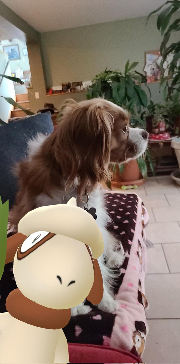 <a href="/riley_fromoz/">RileyFromOz</a> <a href="/CharlieTheMean/">Charlie saying funny things</a> It's wonderful to have fun with your friends.