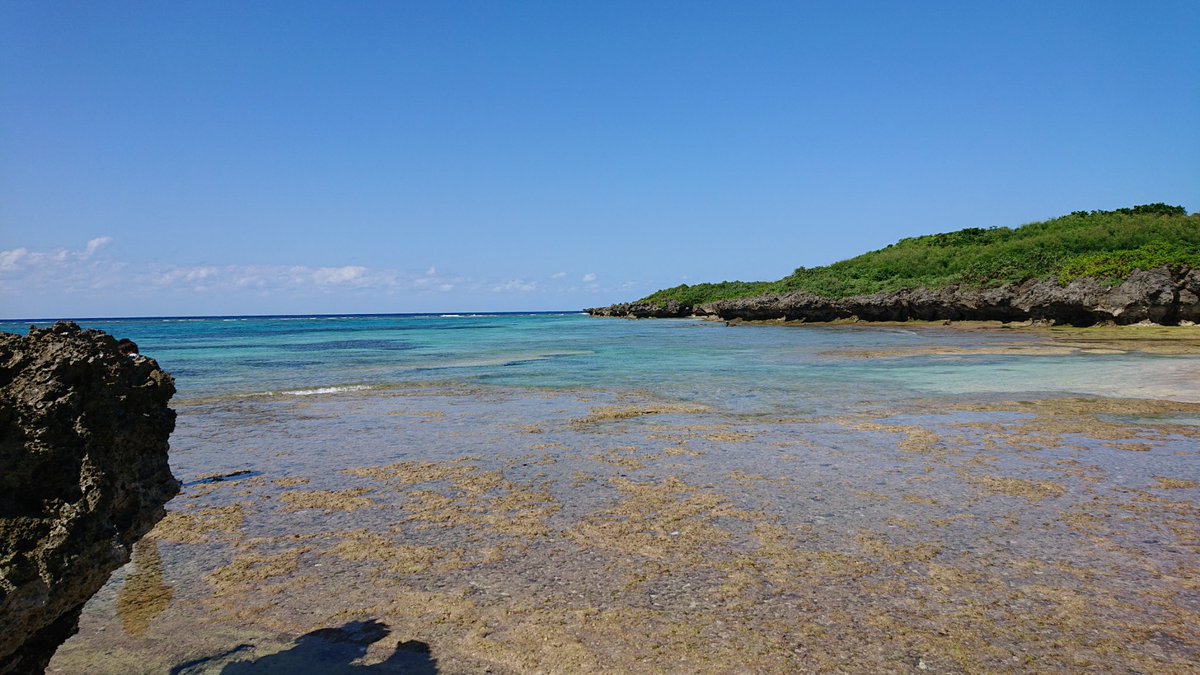 basubi_camp's tweet photo. さよなら～宮古島😭😭😭
あっという間のバスビの夏休みが終了…
さて、海無し県の岐阜に帰ります✈ https://t.co/yAn4snB2ci