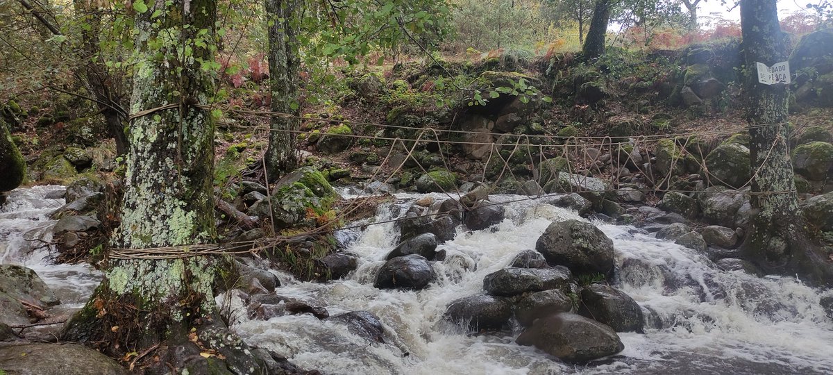 GuerreroGredos's tweet image. Si vienes a #Candeleda en el Puente de Todos los Santos, visita trailelguerrero.com y encontrarás rutas para todos los niveles e información acerca de dónde comer, dónde dormir, donde tomar algo y de otros establecimientos que hacen posible el Trail El Guerrero - Gredos