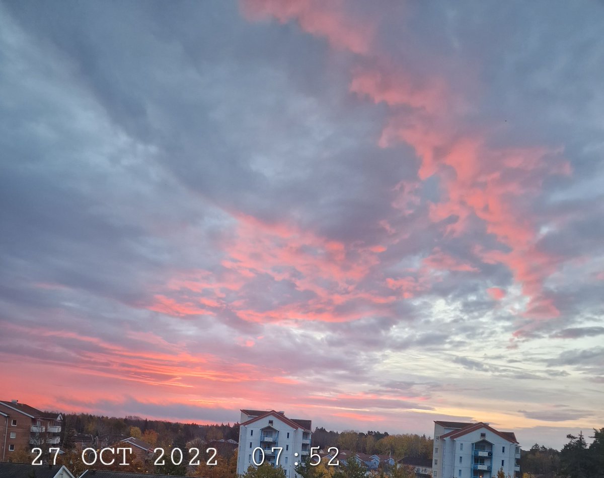 Pink clouds before sunrise this morning. #nature #SkyPhoto #clouds #PinkClouds #CloudsPhoto