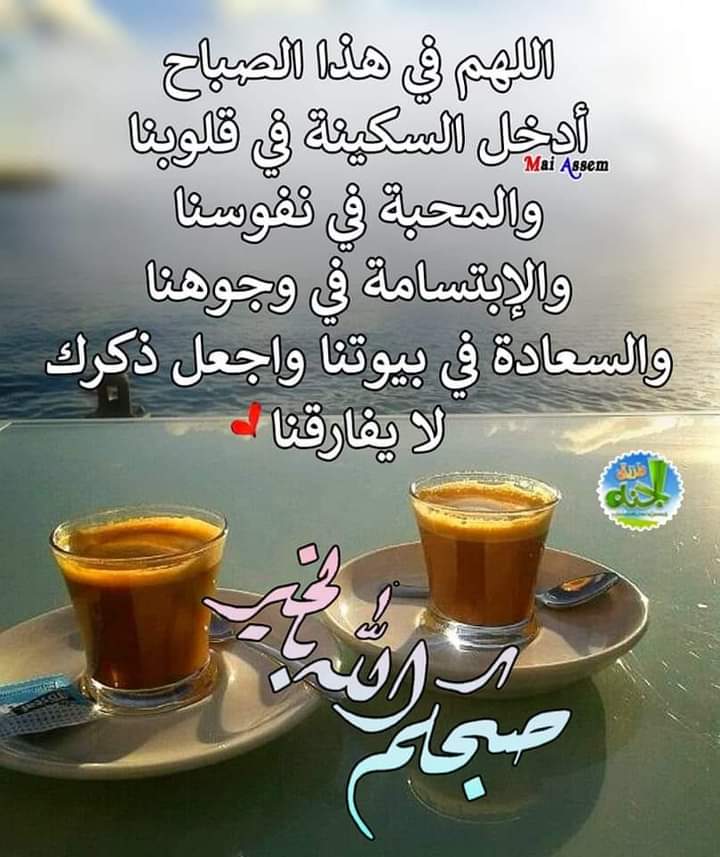 تريند تيوب Trend Tube tweet media