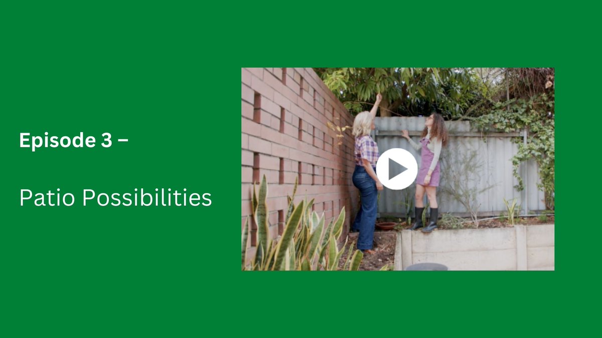 Watch episode 3 of School of Thumb, the Greener Spaces Better Places new horticultural video series. The series is designed to be easy to share so we can spread the word and get Australia growing! Find out more here: bit.ly/3EDUPkf @Hort_Au #plantnursery #horticulture