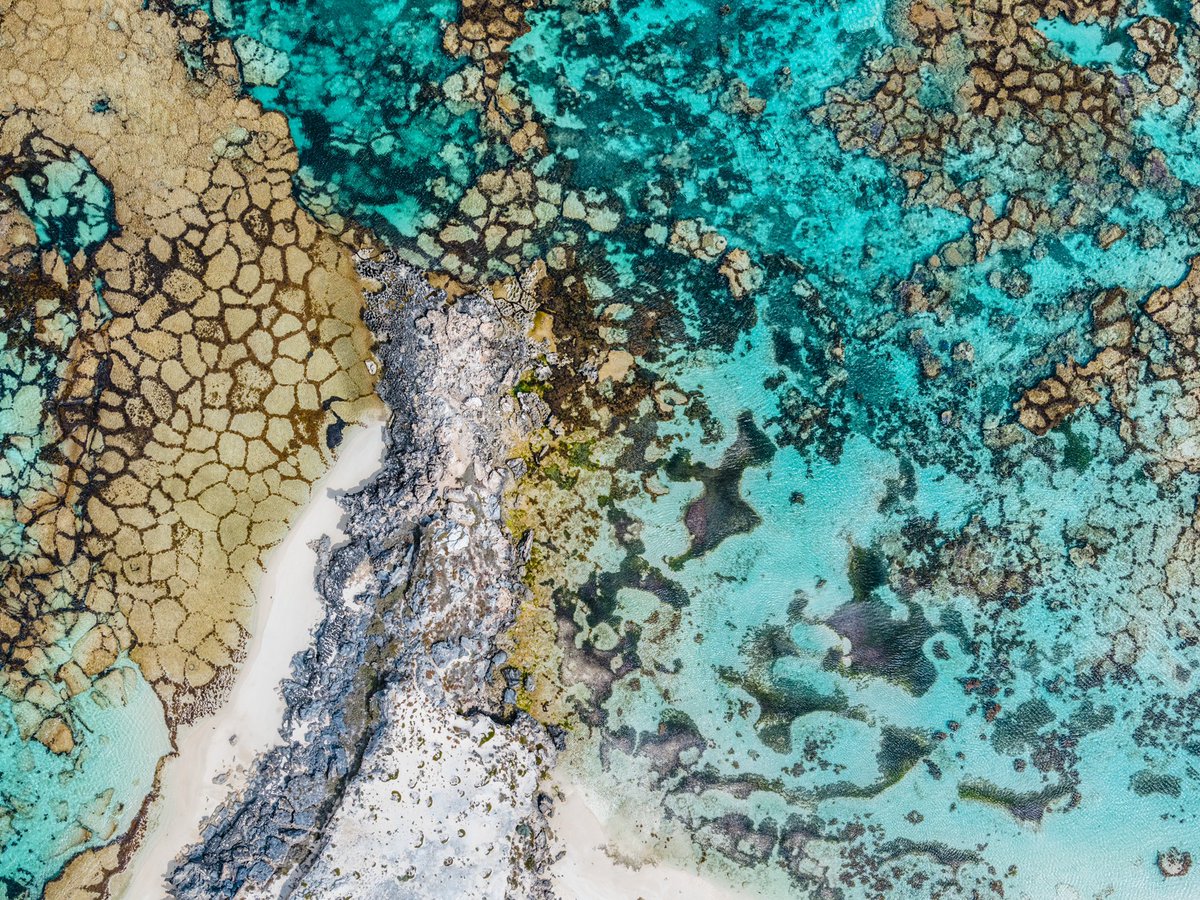 Our stunning island getaway of <a href="/RottnestIsland/">Rottnest Island</a> in <a href="/DestPERTH/">Destination Perth</a> has been named as the winner of <a href="/Wotif/">Wotif.com</a>'s ‘Best Island’! Journey up, down, and across our epic coastline for an opportunity to catch the unique colours of our extraordinary beaches 🏖️ 

#WAtheDreamState #ComeAndSayGday