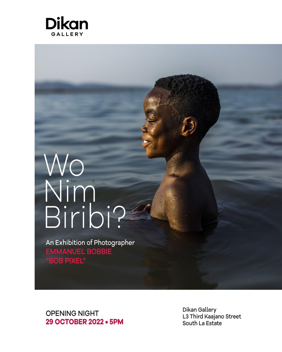 The Bob Pixel Foundation tweet media