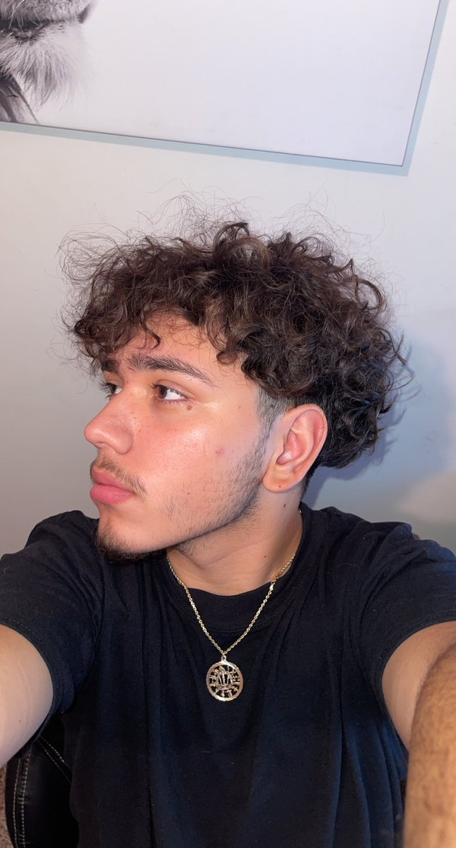 Dylan tweet media