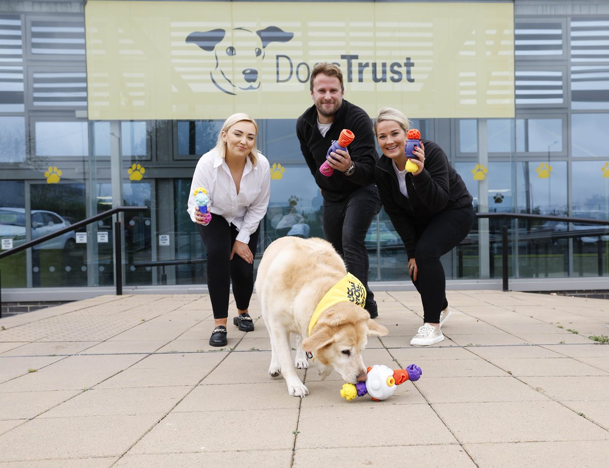 K9connectables tweet media