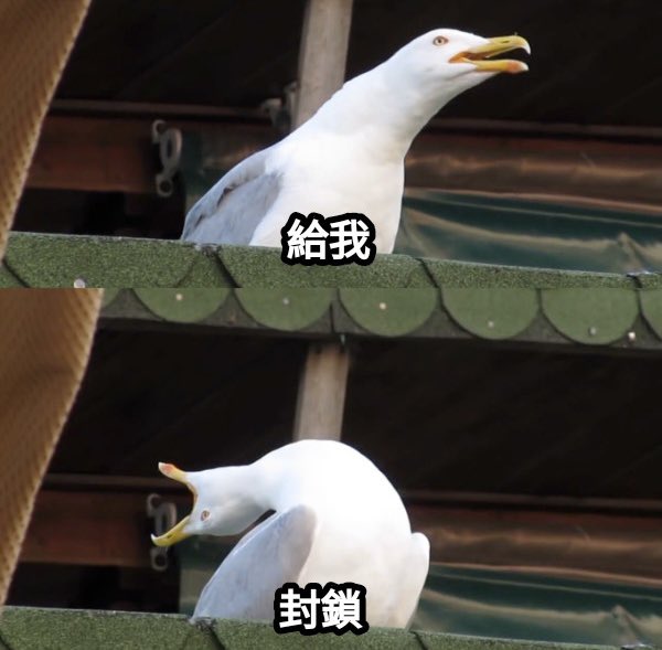 如果說被我封鎖的女推
是因為不禮貌或一直刷廣告

那被我封鎖的男推
大概就是人品或人格上很有問題的
🥰🥰
#讓你們參考一下 https://t.co/nJbrLD1ZMU