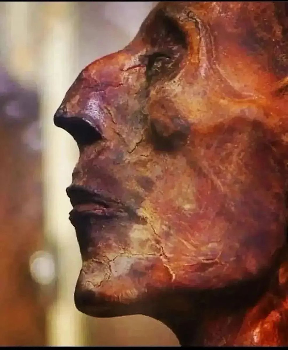 MaléficaReturns🏛️ tweet media