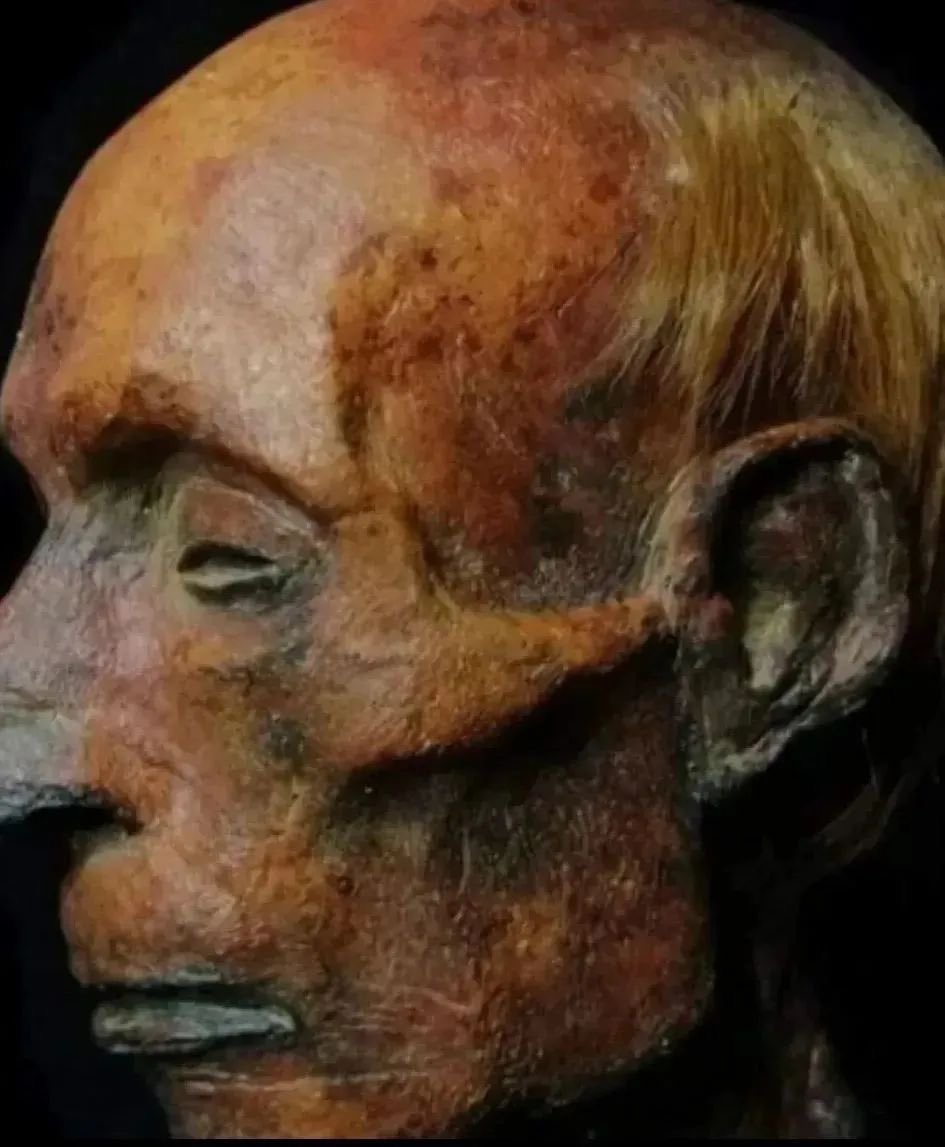 MaléficaReturns🏛️ tweet media