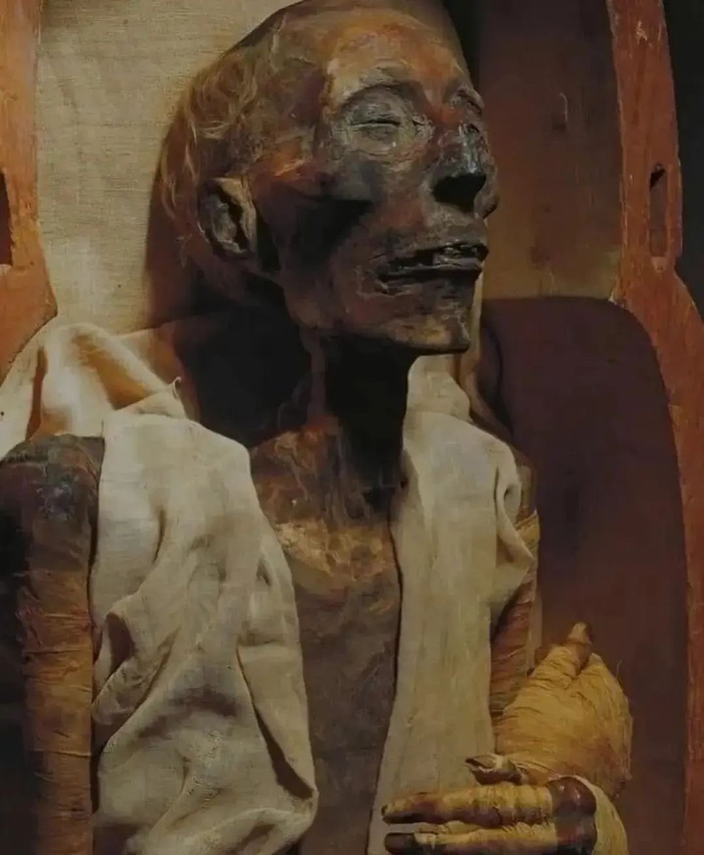 MaléficaReturns🏛️ tweet media