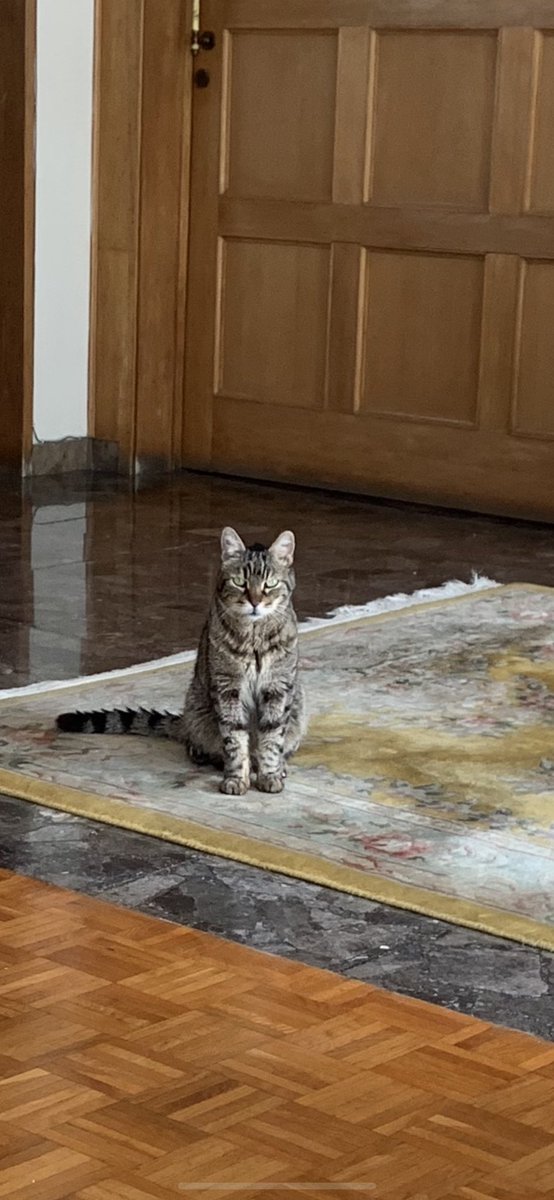 RealGypsyTheCat's tweet photo. How do I love thee, let me count the ways https://t.co/uLczits0H3