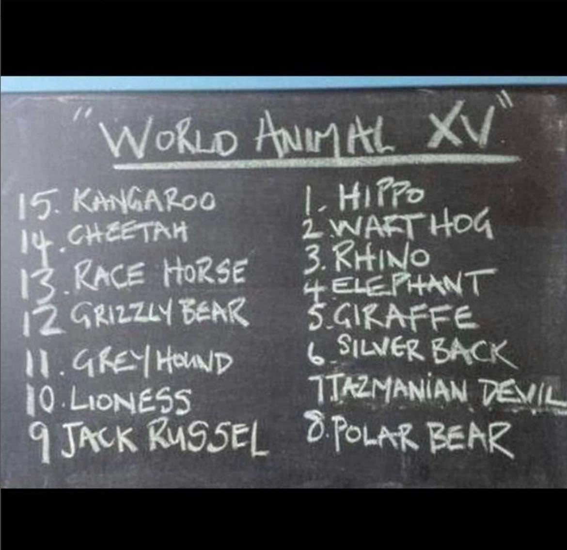 For you rugby loving animal lovers out there, this is spot on 😂
