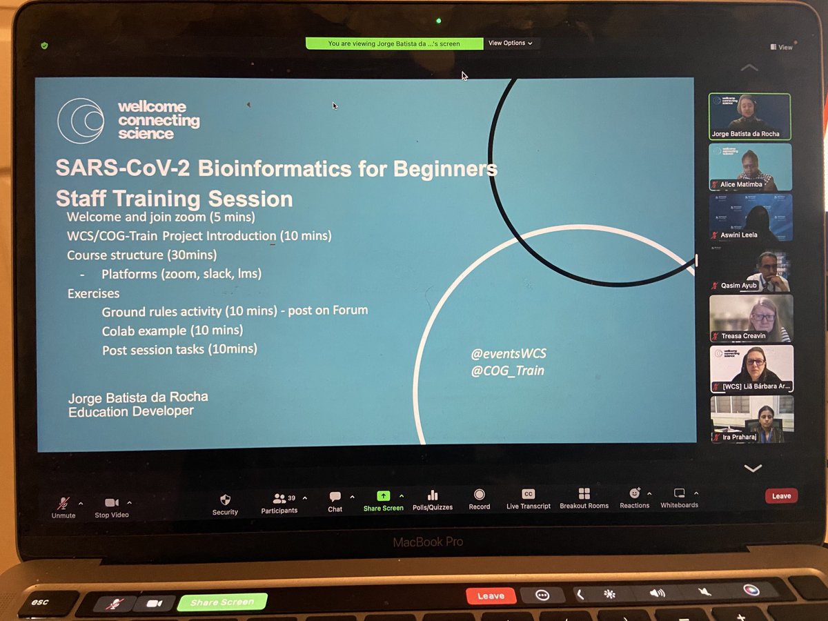 Alice Matimba tweet media