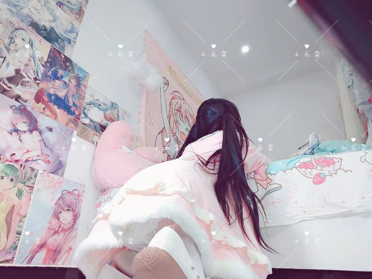 小云朵 tweet media