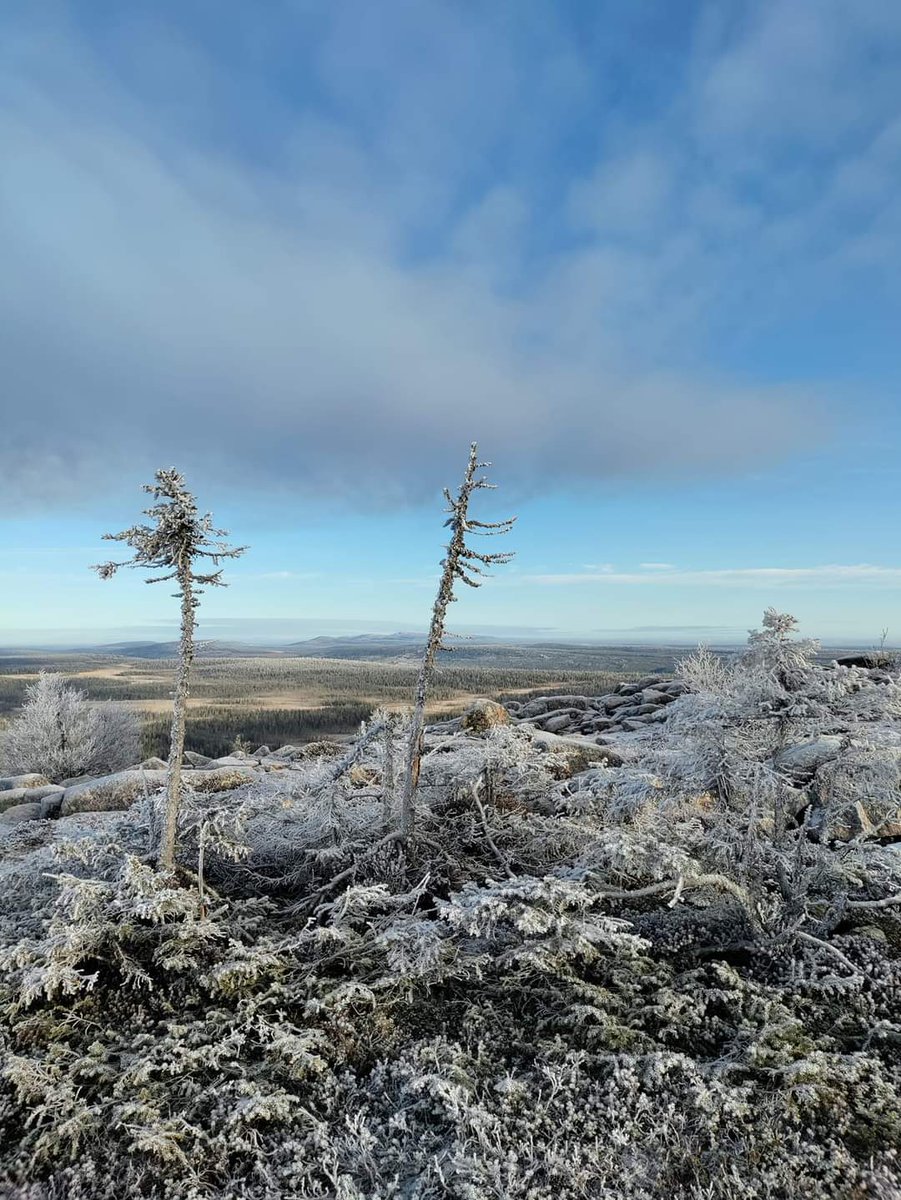 PiritaSatomaa's tweet photo. Vanhat Sallatunturit Venäjän puolella, näkymä Iso Pyhätunturin huipun näköalatornista. Koirille omat askelmat portaissa.
💙❄️
Tiistaina oli kaunis kuulas sää kulkea pikku pakkasessa Taivaan tavoittelijan taival. 

#sallankansallispuisto

https://t.co/ESHktZKu8j https://t.co/WZn9iY4W4n