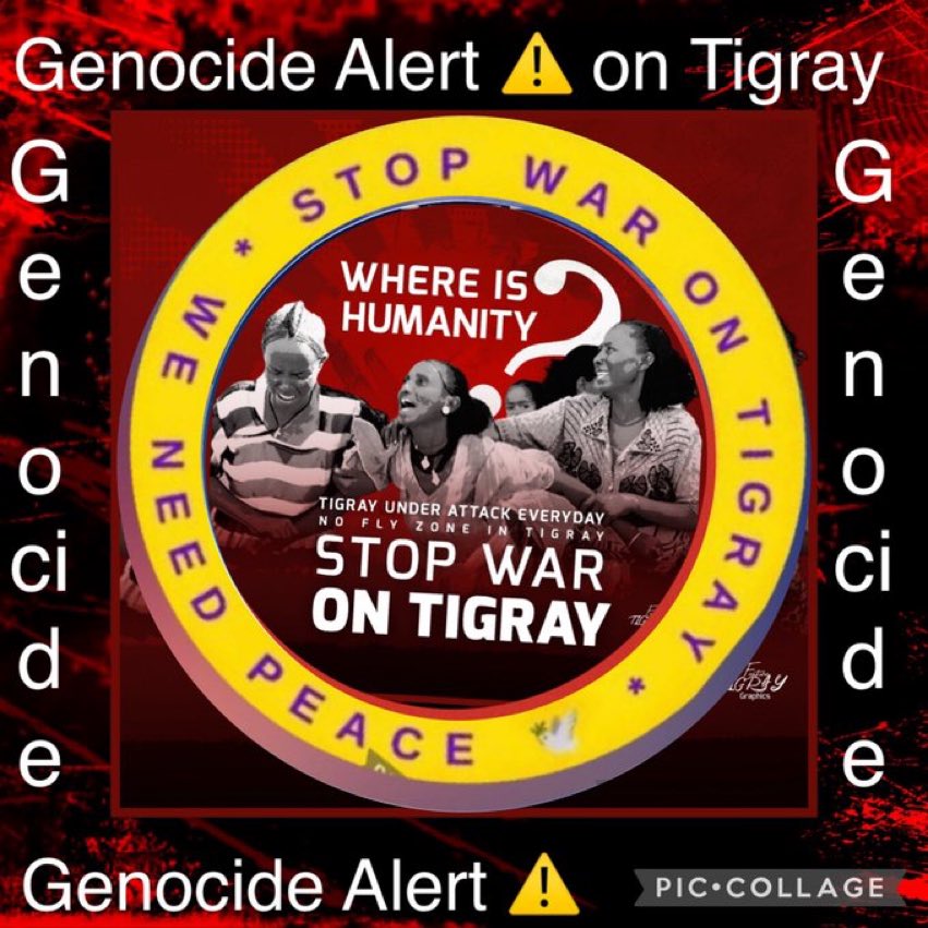 axum_gal's tweet photo. Augt to Sept, many air strikes in Mekelle &amp; Adi Daero, killed 100s of civilians including children.
Sept 6-12, 2022, z 🇪🇷n army, which is allied with z ENDF, extrajudicially executed >40 Tigrayan in Sheraro town. #EritreaOutOfTigray @POTUS @axum_gal https://t.co/7BxidzS5Xp
