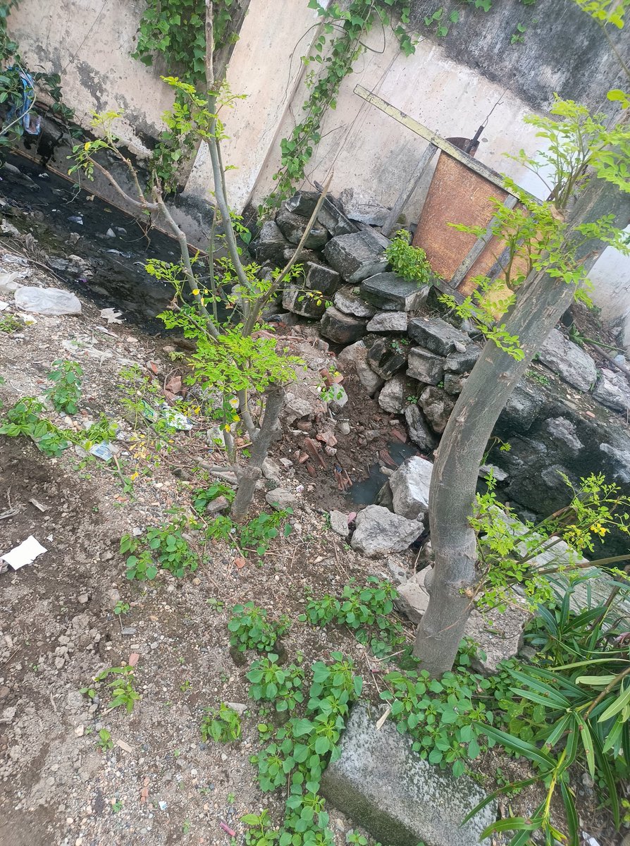 Pandieros's tweet photo. @CollectorErode #krishananunni sir already 2 people affected dengue now ,while this type of drainge too bad .no one care about this area people are suffering  #bharathinagar #Ward6munichipal @Udhaystalin sir #muthusamy aiya pls take action immediately @mkstalin 🙏final hope😵‍💫 https://t.co/CvSouCnX5x