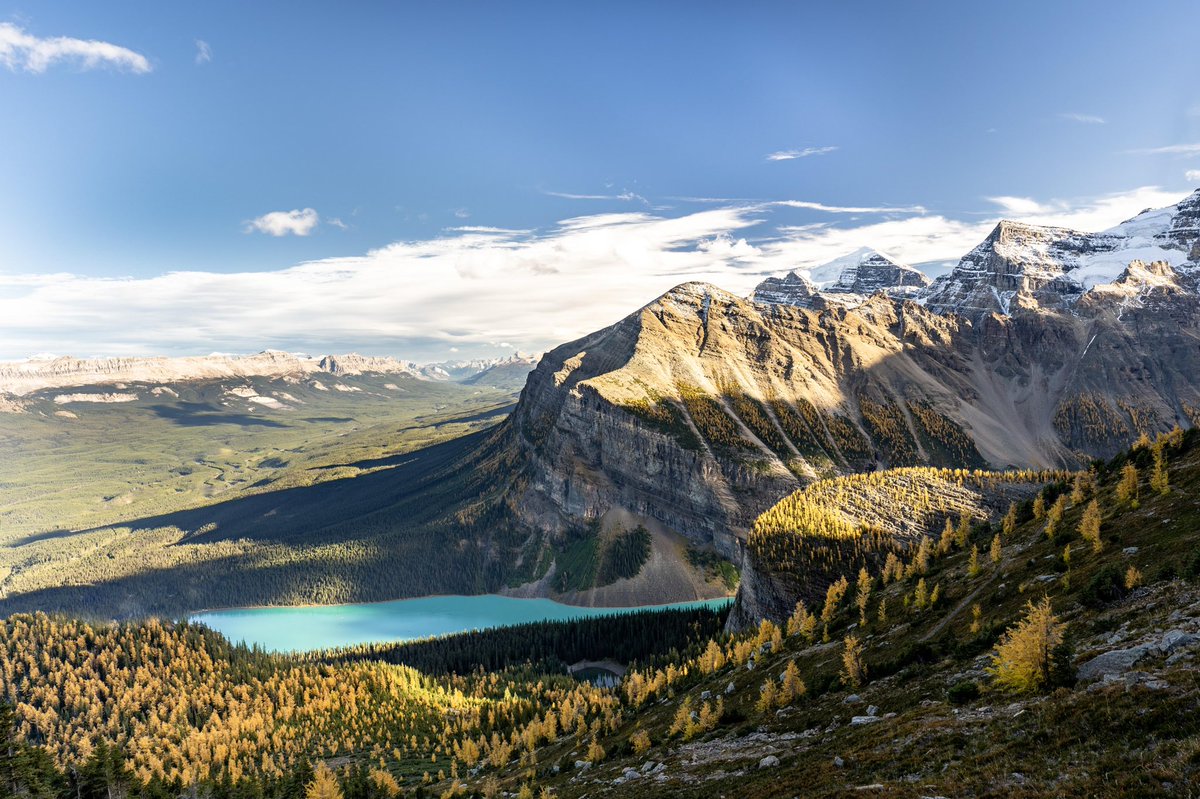 Lake Louise surrounded by larches in the fall, view from Mt St. Piran #NaturePhotography