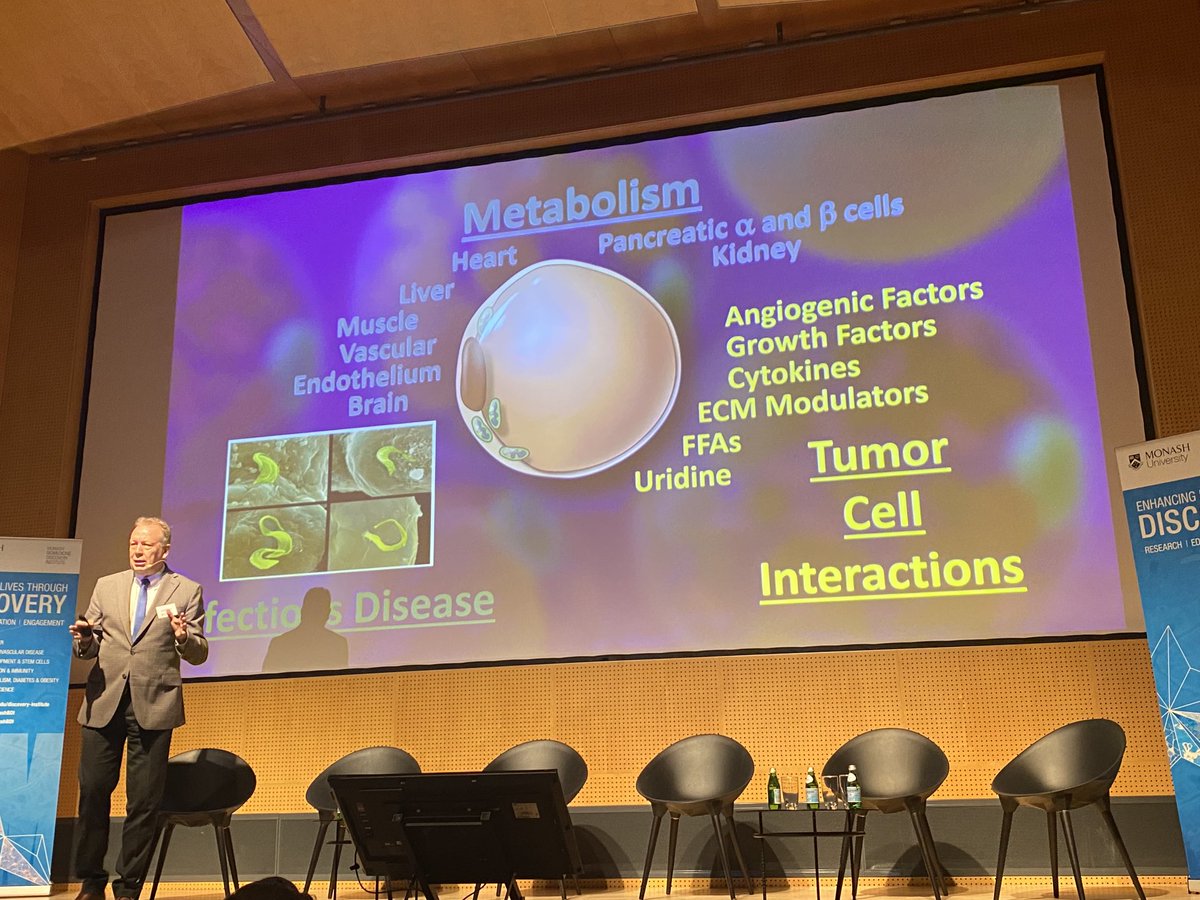 Convergence Science Network (@ConverSci) on Twitter photo 2022-10-27 07:23:14 Dr Philip Sherer of University of Texas South Western, better known as having created the fattest mouse at over 240kg, introduces fat cells #obesitycrisis @MonashBDI Dr Philip Sherer of University of Texas South Western, better known as having created the fattest mouse at over 240kg, introduces fat cells #obesitycrisis @MonashBDI