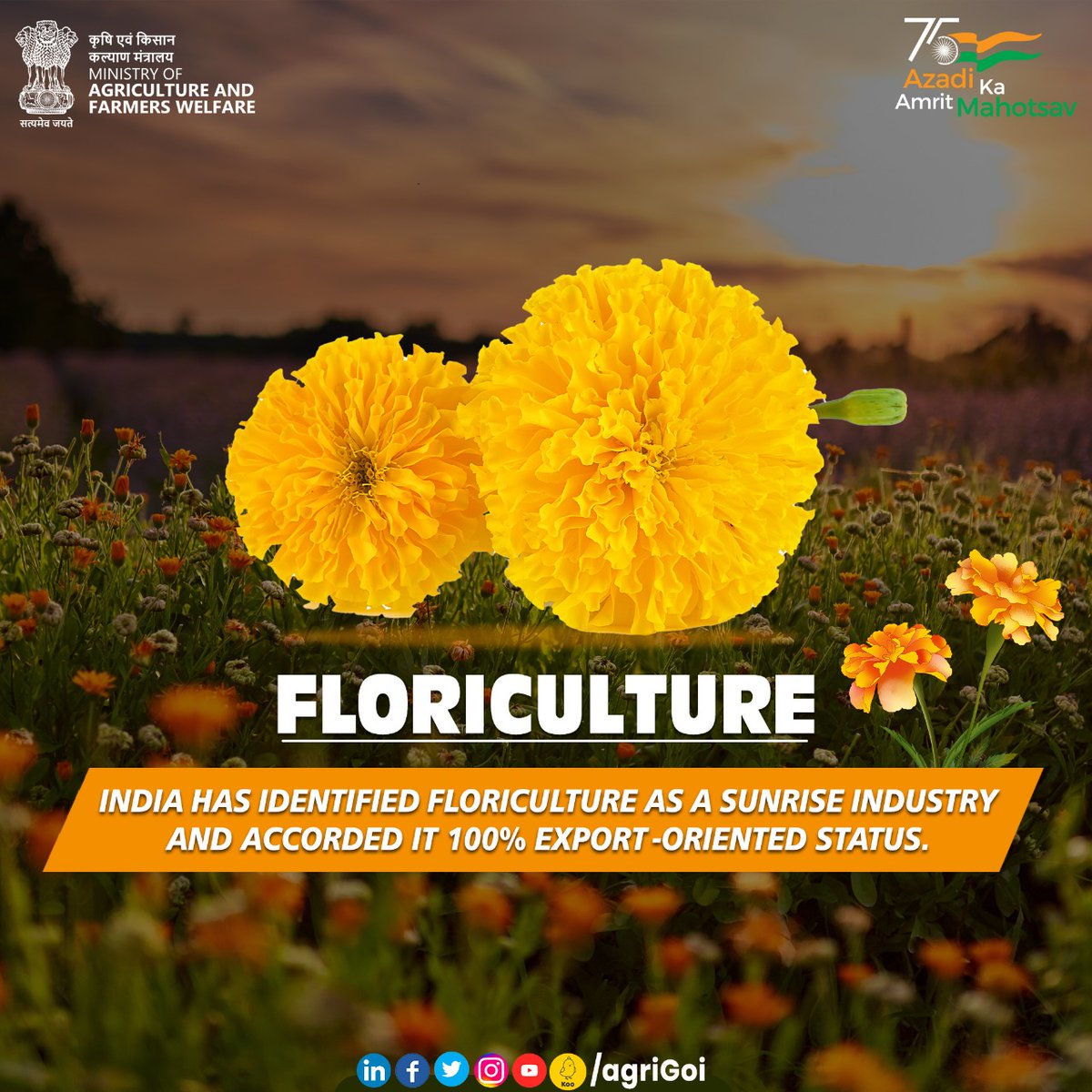 India has identified floriculture as a sunrise industry and accorded it 100% export-oriented status. #agrigoi #agriculture #FLORICULTURE #APEDA #aatmnirbharkrishi #aatmnirbharkisan