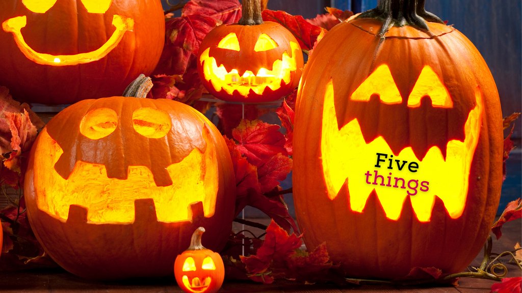 We're close to the end of spooky month! This week's new 5 Things newsletter has some fun stories of a young prodigy, pumpkins, animations and a shocking yet amusing grandma strategy. 

🎃 Newsletter here:
mailchi.mp/clevergirlmark…