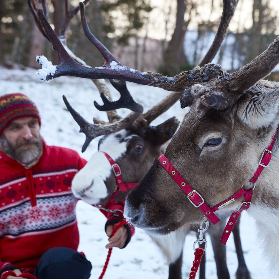 Mountains, skiing, ceilidhs and reindeer.

Ring in the New Year with a stay at our Aviemore location. 🥂✨

Find out more here: macdonaldhotels.co.uk/aviemore