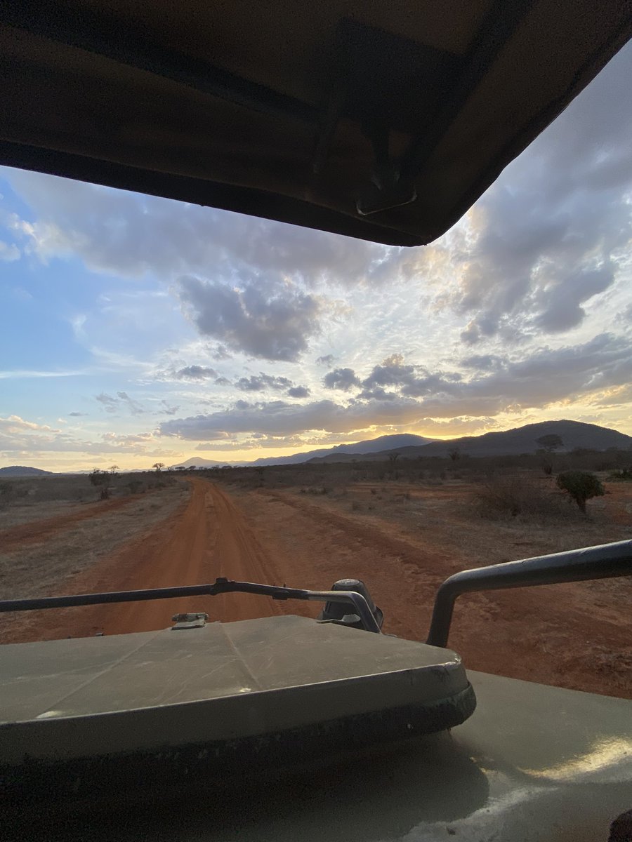 RabsFB's tweet image. 🏜