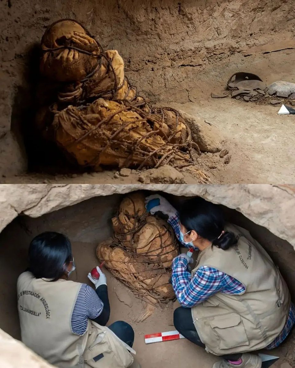 RT @CuriosityHubs: Mysterious mummy found in tomb in Peru with hand covering its face... https://t.co/T2K3diByHL
