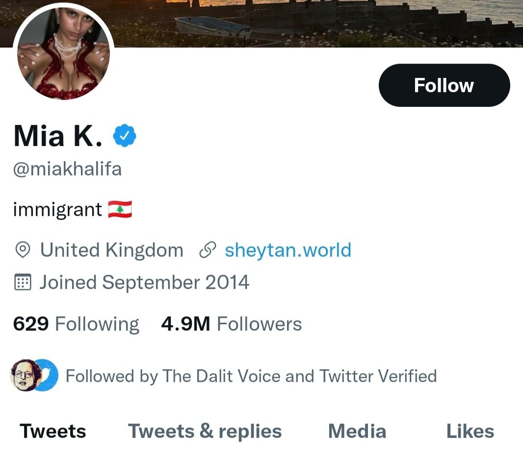 IchayanKiran's tweet photo. @ambedkariteIND Why Following a P*rn  star   Account , and my doubt is,  she is Funding for your organization ??? https://t.co/HjX7xg7Jp6