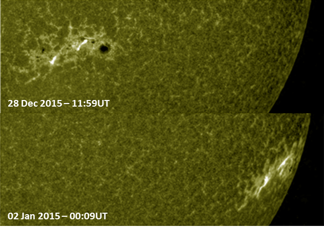 Judith de Patoul tweet media