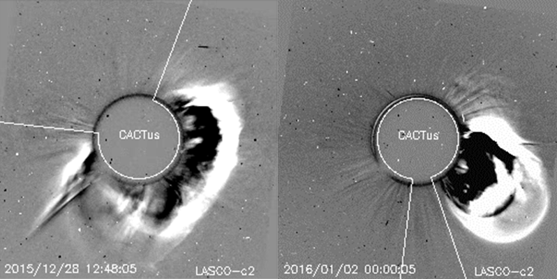 Judith de Patoul tweet media