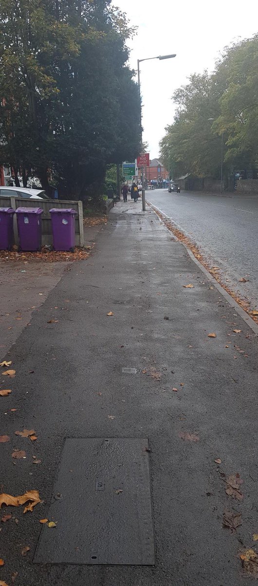 Our leaf clearance programme continues 🍂🍁♻️ The team have been hard at work on Ullet Road today clearing leaf fall from pavements - check out the before &amp; after below 👇 
#KeepLiverpoolTidy