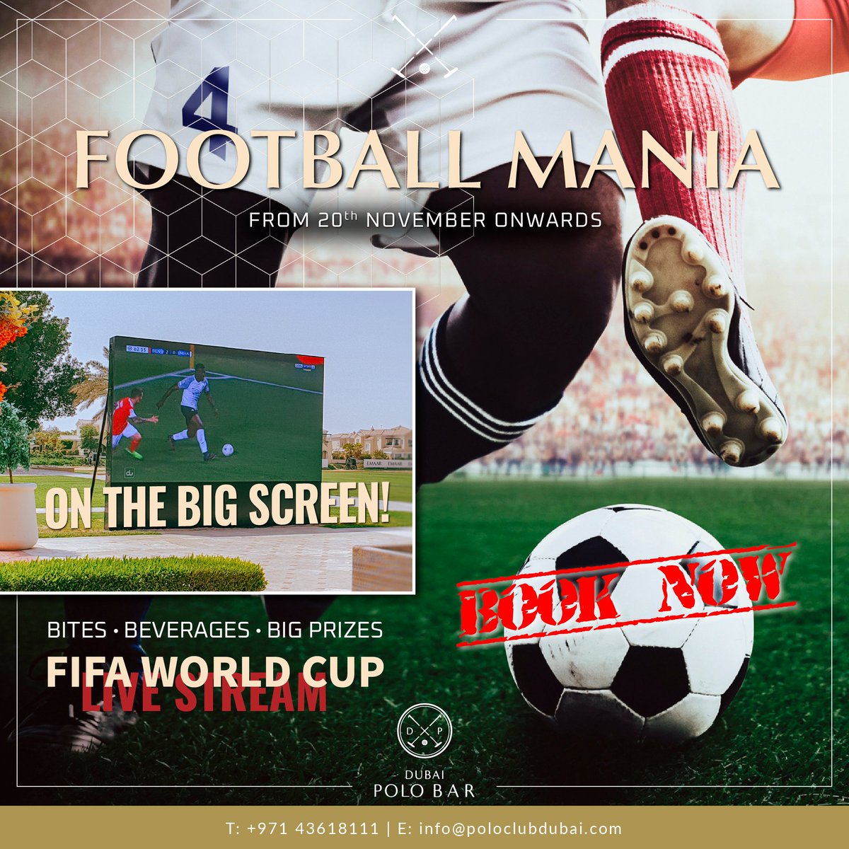 We'll bring you the FIFA World Cup 2022 in Dubai! Watch the fun and action of the world's much-awaited football matches LIVE on Dubai Polo Bar's big screen! You'll have the breathtaking polo fields as your backdrop Delicious bites, beverages, and big prizes!