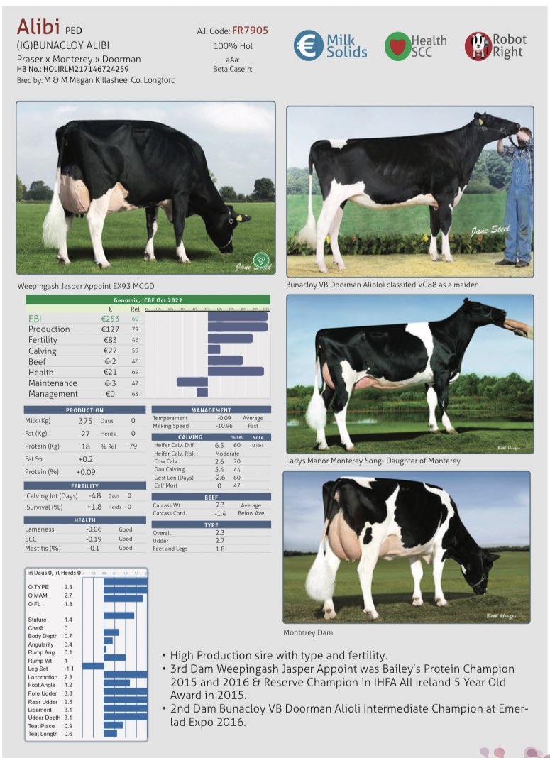 progressivegen's tweet photo. ⭐️ Our High Type Sires Catalogue is now available ⭐️

Introducing Alibi and Francis PP, both coming from exceptional cow families with excellent fertility and solids. 

Link to catalogue: https://t.co/VAdScJpOO5…

@NCBCIreland @Semex @CRV4all @ABS_Global_Inc https://t.co/iRrczxke5x