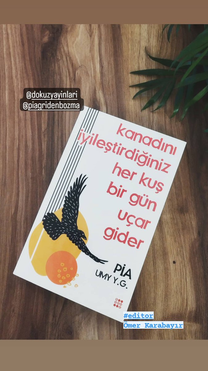 Kanadını İyileştirdiğiniz Her Kuş Bir Gün Uçar Gider
Dokuz Yayınları / Mayıs 2022
#dokuz #editor #deneme